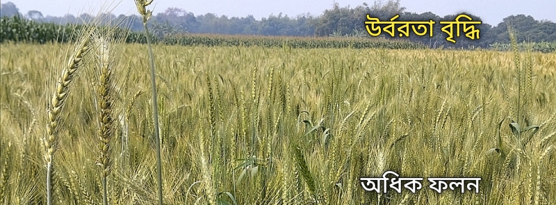 Sonet Agro promo