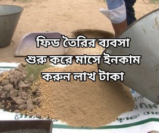 ফিড তৈরির ব্যবসা শুরু করে মাসে ইনকাম করুন লাখ টাকা