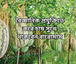 বৈজ্ঞানিক প্রযুক্তিতে করে চাষ সুখে থাকবেন বারোমাস