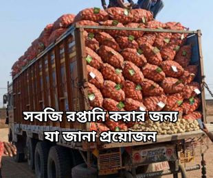 সবজি রপ্তানি করার জন্য যা জানা প্রয়োজন