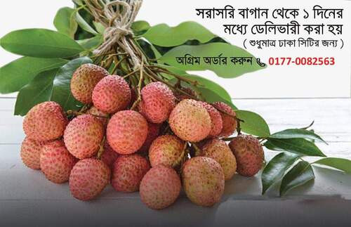 লিচু