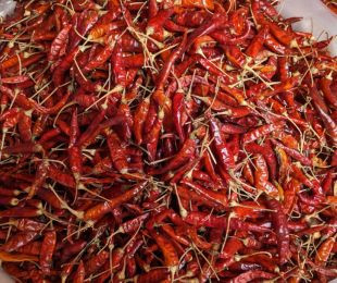 শুকনা মরিচ