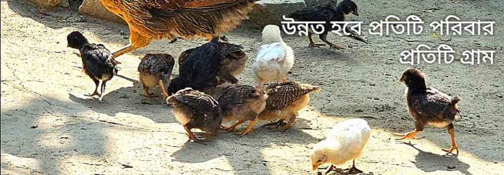 Sonet Agro promo