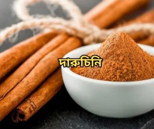 দারুচিনি মশলা
